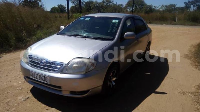 Big with watermark 60922346 2172117822903136 6787199421865000960 n