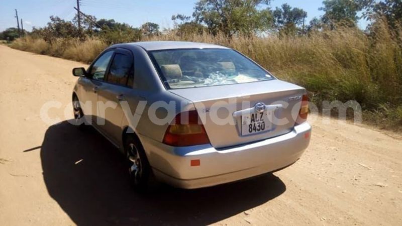 Big with watermark 61122124 2172117859569799 1762185597914447872 n