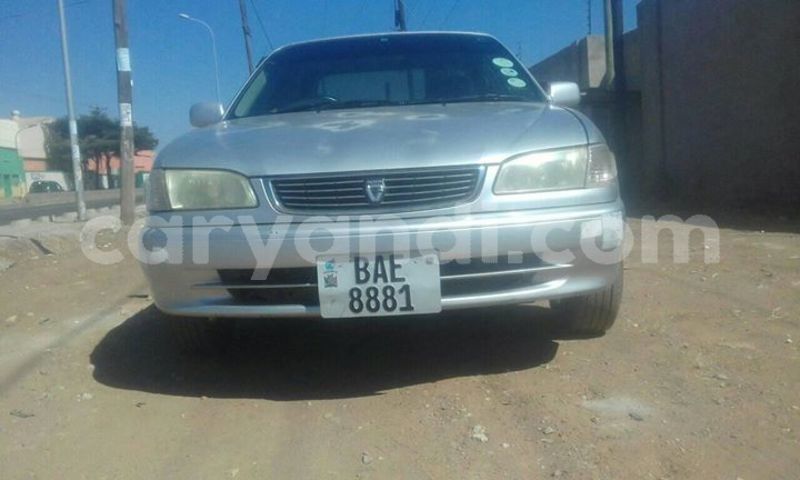 Big with watermark 60990342 1361508213996695 7767083424329760768 o