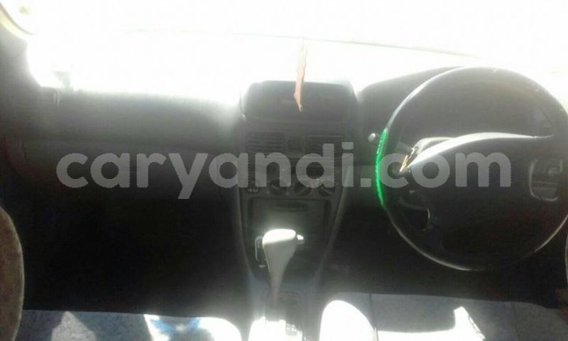 Big with watermark 60914524 1361508473996669 4227857014660792320 o