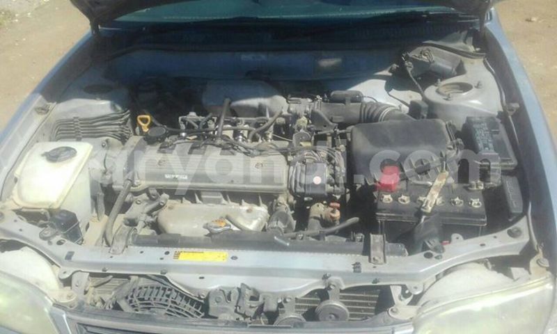 Big with watermark 60684705 1361508437330006 8437592634586824704 o