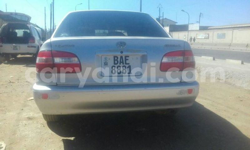 Big with watermark 61003868 1361508317330018 3451893210392035328 o