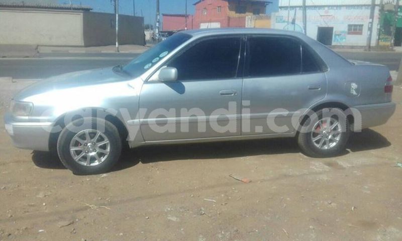 Big with watermark 61245859 1361508280663355 2695469402786103296 o