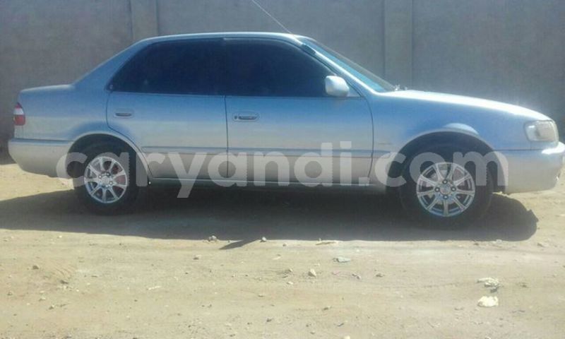 Big with watermark 61243078 1361508250663358 3540748400049782784 o