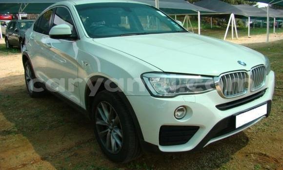 Tenga Tsaru BMW 4er Chena Mota in Lusaka in Zambia Tenga Tsaru BMW 4er Chena Mota in Lusaka in Zambia