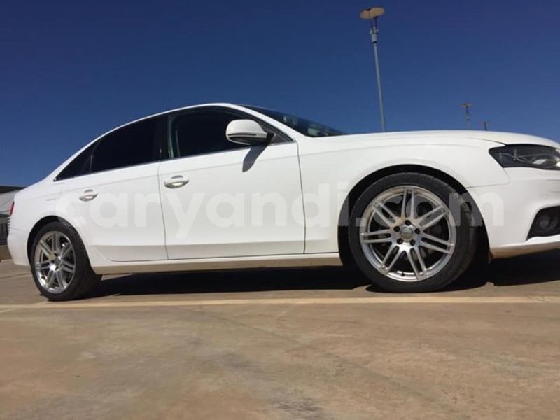 Big with watermark 60697899 348334539203440 3924455800407326720 n