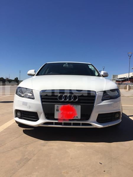 Big with watermark 61172802 348334559203438 5699335625136668672 n