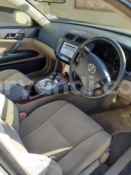 Big with watermark 60792107 348955989141295 9041734914969436160 n