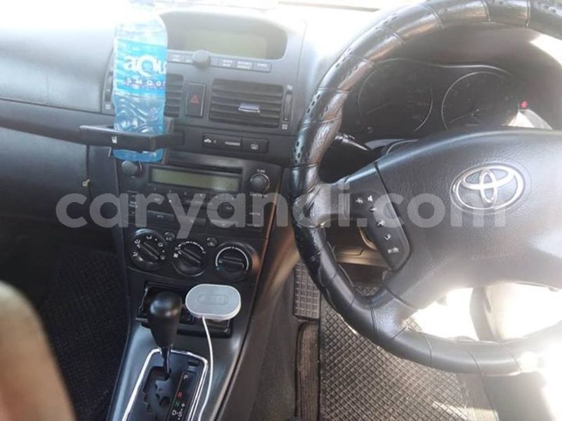 Big with watermark 61224785 1191509527676311 6985113847031922688 n