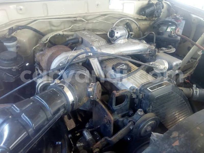 Big with watermark 61007438 1190668637760400 8606522597510742016 n