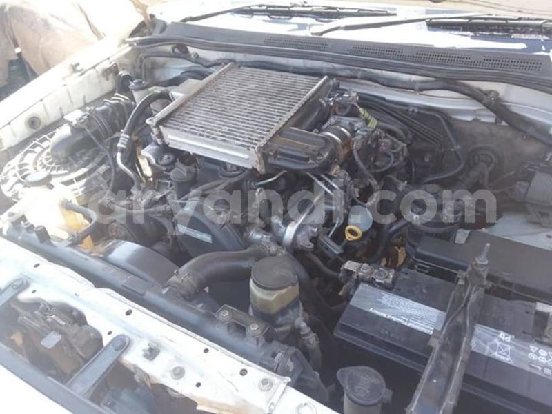 Big with watermark 60939651 1190243884469542 3647336186822787072 n