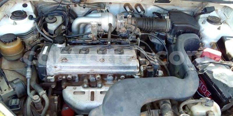 Big with watermark 61360703 1267044210127294 3750517918501175296 o