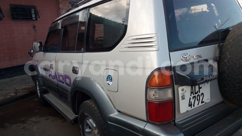 Big with watermark 61349016 2357194841231868 2791762298979483648 n