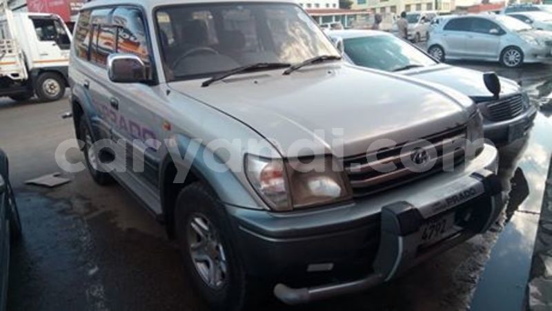 Big with watermark 61274700 2357194731231879 1114412269485162496 n