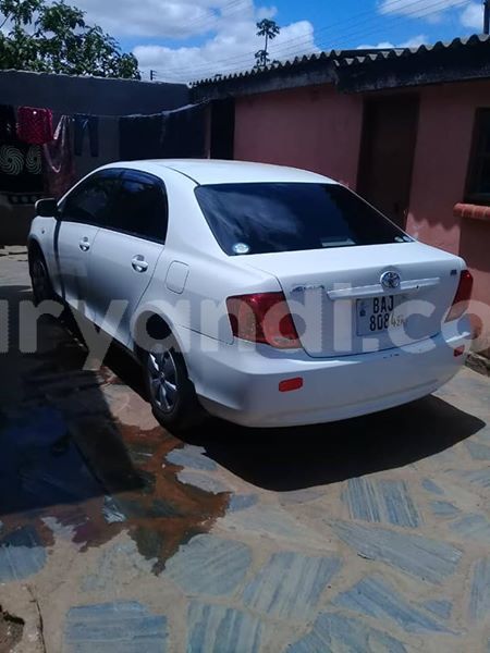 Big with watermark 61567688 2357195037898515 3323927872443252736 n