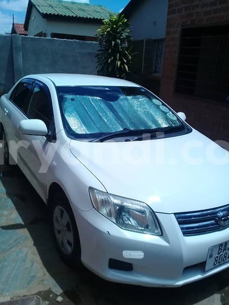 Big with watermark 61548162 2357194974565188 5101538278465601536 n