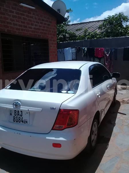 Big with watermark 61330528 2357194907898528 7116159316482064384 n