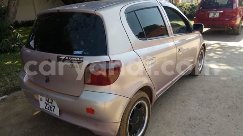 Big with watermark 60884297 2357701157847903 2557445251430088704 n