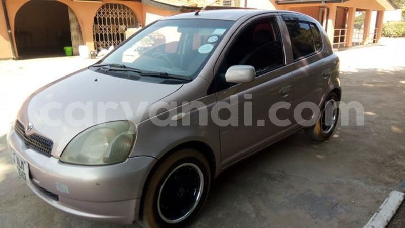 Big with watermark 61289637 2357700981181254 298331821404323840 n