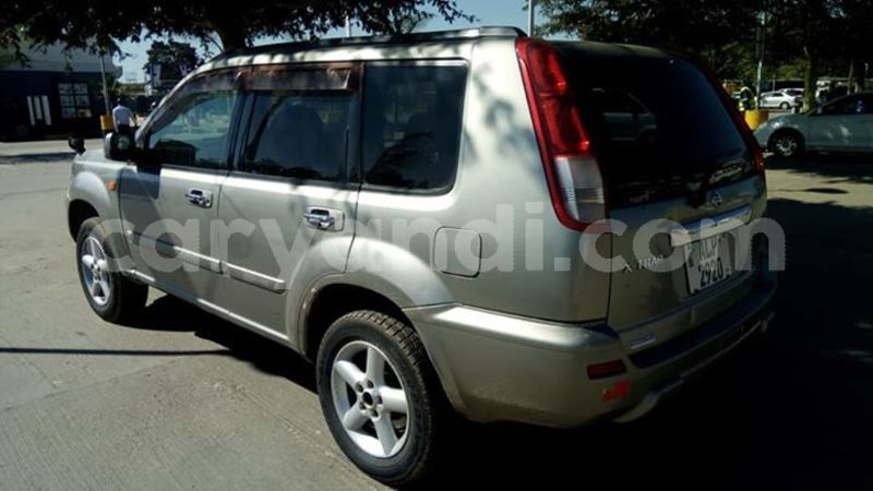 Big with watermark 61115062 2352942204990465 3787693385888825344 n