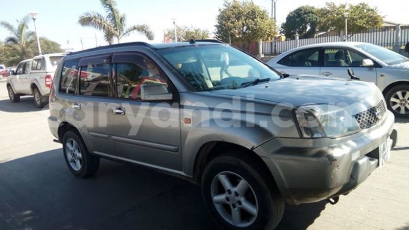 Big with watermark 60845729 2352942234990462 1996842523405844480 n