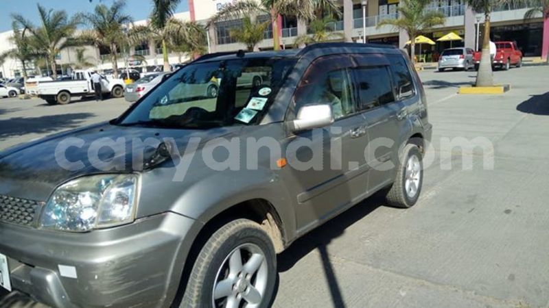 Big with watermark 60885405 2352942188323800 1104956551090667520 n