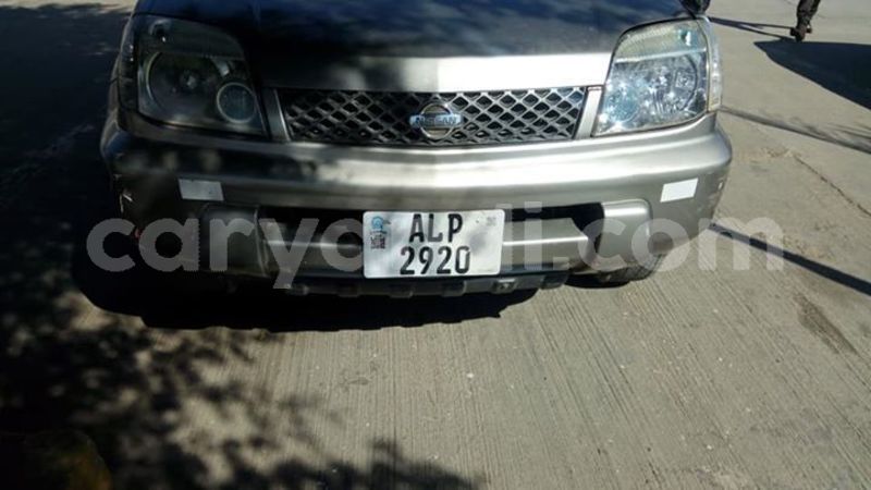 Big with watermark 60723700 2352942171657135 7979307873073102848 n