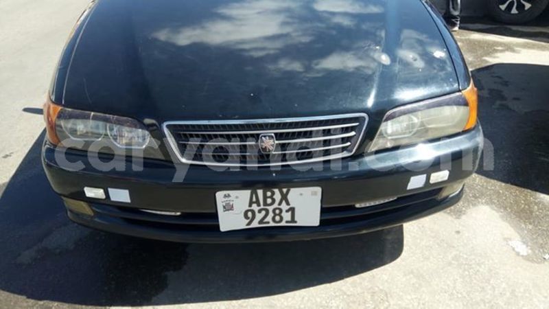 Big with watermark 60261952 2347706035514082 5917484787991314432 n