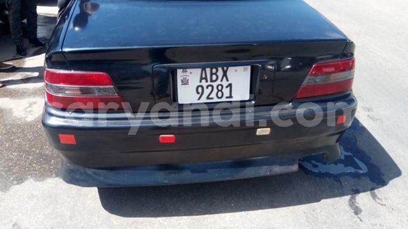 Big with watermark 60330462 2347706312180721 5156490645556166656 n