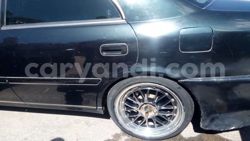 Big with watermark 60284051 2347706252180727 8499009700551983104 n