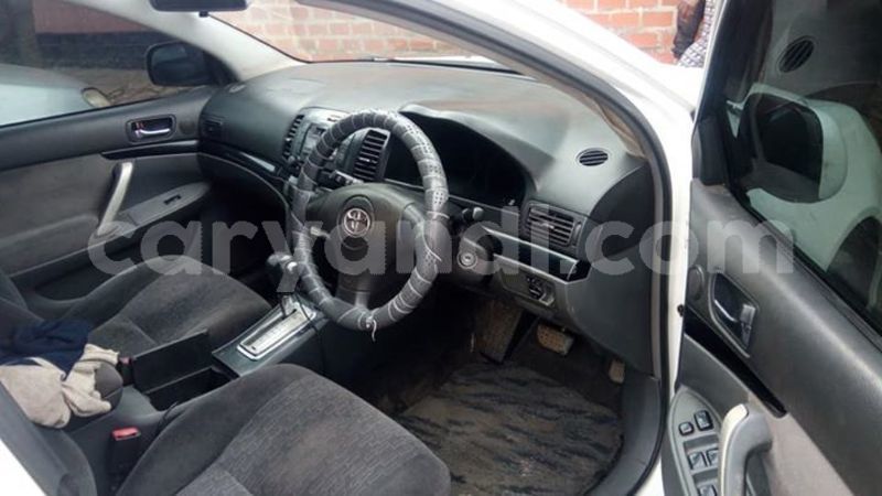 Big with watermark 58902332 2338570899760929 5820066880949321728 n