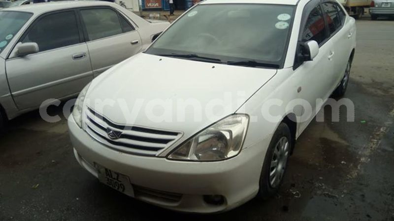 Big with watermark 59602370 2338570833094269 1047287385257148416 n