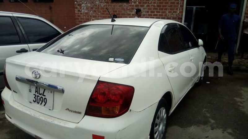 Big with watermark 58713295 2338570803094272 5992817822873419776 n