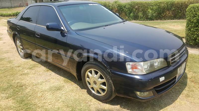 Big with watermark 14322611 965552490222599 6538714368794516621 n