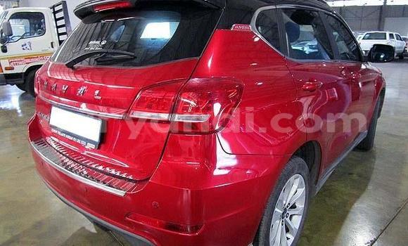 Tenga Tsaru Haval H2 Tsvuku Mota in Lusaka in Zambia Tenga Tsaru Haval H2 Tsvuku Mota in Lusaka in Zambia