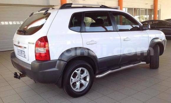 Tenga Tsaru Hyundai Tucson Chena Mota in Lusaka in Zambia Tenga Tsaru Hyundai Tucson Chena Mota in Lusaka in Zambia