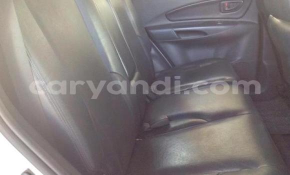 Tenga Tsaru Hyundai Tucson Chena Mota in Lusaka in Zambia Tenga Tsaru Hyundai Tucson Chena Mota in Lusaka in Zambia