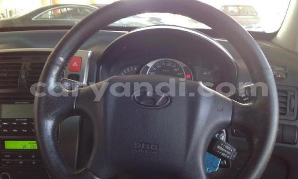 Tenga Tsaru Hyundai Tucson Chena Mota in Lusaka in Zambia Tenga Tsaru Hyundai Tucson Chena Mota in Lusaka in Zambia