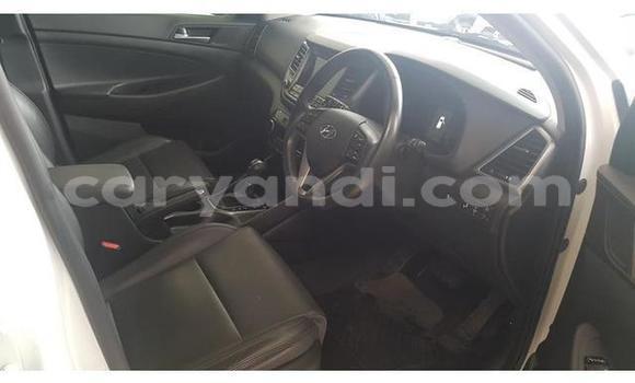 Tenga Tsaru Hyundai Tucson Chena Mota in Livingstone in Zambia Tenga Tsaru Hyundai Tucson Chena Mota in Livingstone in Zambia