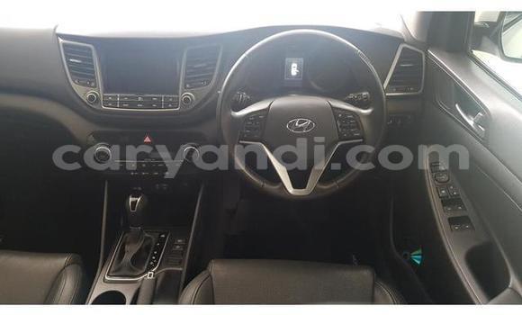 Tenga Tsaru Hyundai Tucson Chena Mota in Livingstone in Zambia Tenga Tsaru Hyundai Tucson Chena Mota in Livingstone in Zambia