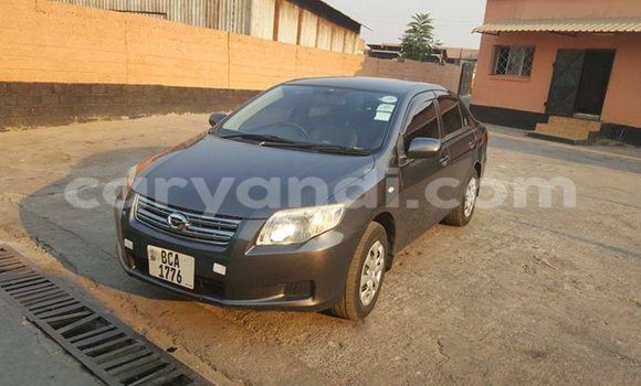 Buy Used Toyota Axio Black Car in Chipata in Zambia Buy Used Toyota Axio Black Car in Chipata in Zambia