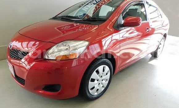 Buy Used Toyota Yaris Verso Red Car in Lusaka in Zambia Buy Used Toyota Yaris Verso Red Car in Lusaka in Zambia