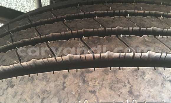 Tenga Tsaru Hino Ranger Chena Rori in Livingstone in Zambia Tenga Tsaru Hino Ranger Chena Rori in Livingstone in Zambia