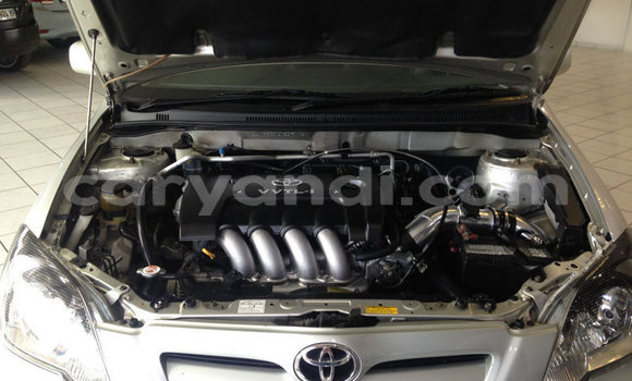 Buy Used Toyota Runx Silver Car in Chipata in Zambia Buy Used Toyota Runx Silver Car in Chipata in Zambia