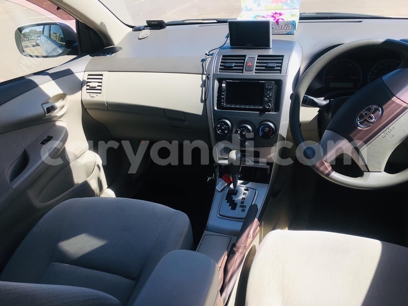 Big with watermark f6de98da 950d 4fdb 80cb 8b2a3e39aad0