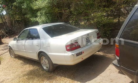 Nunua Ilio tumika Toyota Caldina Nyeusi Gari ndani ya Chipata nchini Zambia Nunua Ilio tumika Toyota Caldina Nyeusi Gari ndani ya Chipata nchini Zambia