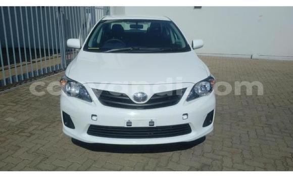 Tenga Tsaru Toyota Corolla Chena Mota in Lusaka in Zambia Tenga Tsaru Toyota Corolla Chena Mota in Lusaka in Zambia