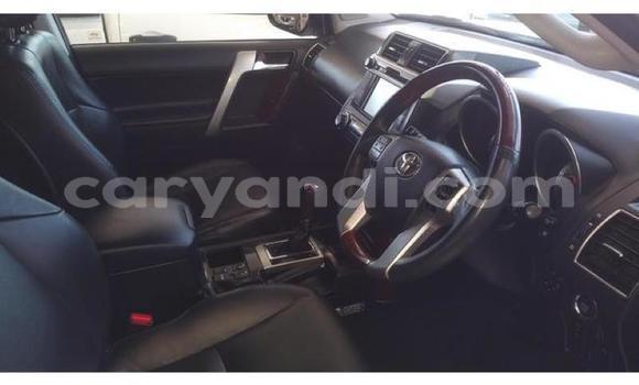 Tenga Tsaru Toyota Prado Chena Mota in Lusaka in Zambia Tenga Tsaru Toyota Prado Chena Mota in Lusaka in Zambia