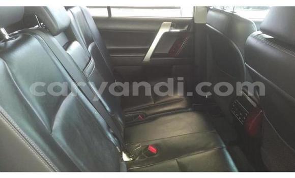 Tenga Tsaru Toyota Prado Chena Mota in Lusaka in Zambia Tenga Tsaru Toyota Prado Chena Mota in Lusaka in Zambia