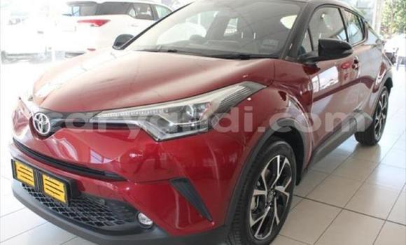 Nunua Ilio tumika Toyota C-HR Nyekundu Gari ndani ya Lusaka nchini Zambia Nunua Ilio tumika Toyota C-HR Nyekundu Gari ndani ya Lusaka nchini Zambia